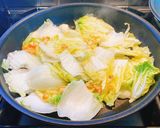 滷白菜配油豆腐鑲肉的食譜步驟1照片