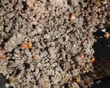 Foto del paso 1 de la receta: Pastel de carne