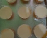 Foto langkah ke 3 dari resep Puding Mangga.