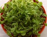Hình bước làm 2 của món Canh cải con nấu nghêu