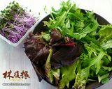 干貝溫沙拉 Salade tiède的食譜步驟1照片