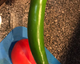 Foto del paso 5 de la receta: Bistec 🥩 Ranchero 😋