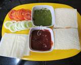 Tri Colour Veg Sandwich recipe step 1 photo