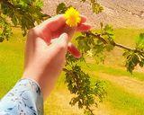 عکس مرحله 1 از دستور کباب جگر در طبیعت 😋