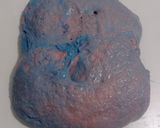 Foto langkah ke 17 dari resep Blue Spirulina Angkak Sourdough Bread (Oven Tangkring).