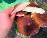 Foto del paso 4 de la receta: Pancitos caseros 🤗ideales para rellenar 🍞🥖