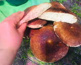 Foto del paso 4 de la receta: Pancitos caseros 🤗ideales para rellenar 🍞🥖