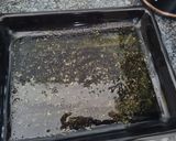 A picture of step 1 of Oven baked Fish.