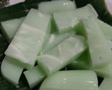 Foto langkah ke 5 dari resep Puding kelapa nutrijel melon.