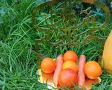 Une image de l'étape 4 de Jus de carotte 🥕🥕🥕.