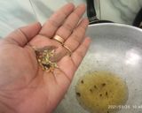 சுண்டல் குருமா ரெசிபி ஸ்டேப் 1 புகைப்படம்
