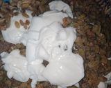A picture of step 2 of Creamy Mayonnaise salad.