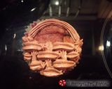 Φωτογραφία βήματος 5 της συνταγής Cupcakes καλαθάκια με αυγά