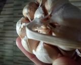 Foto langkah ke 1 dari resep Kacang Bawang Renyah.