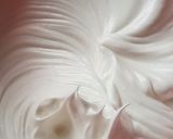 Foto langkah ke 2 dari resep Chiffon Talas Ungu.