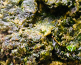 Foto del paso 5 de la receta: BOCADILLOS DE 🥬ACELGA🥬