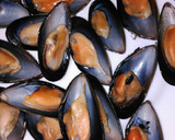 Foto del paso 2 de la receta: Mejillones a la vinagreta