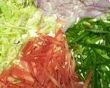 A picture of step 2 of    Roti Noodles.