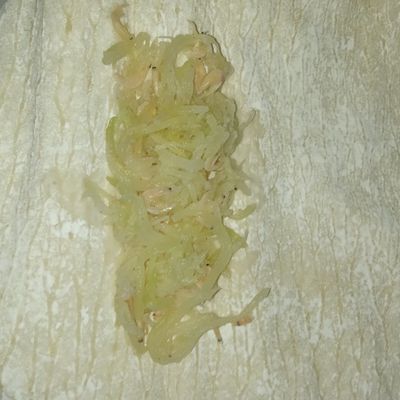 Langkah 4