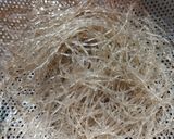 Hình bước làm 1 của món Miến xào lươn, cà rốt