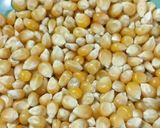 Foto langkah ke 1 dari resep Cheese Sweet Popcorn.
