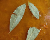 Foto del paso 4 de la receta: Caracoles en salsa picante