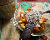 Foto del paso 3 de la receta: Postre saludable con duraznos, avena, maní, coco y algo más (2)