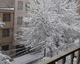 عکس مرحله 1 از دستور آش گندم زیر بارش اولین برف💮❄☃️