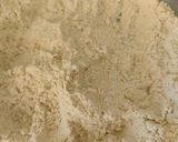 Une image de l'étape 2 de Couve Crestoise revisitée.