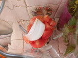 Calabacita frita (calabaza local de Yucatán)
