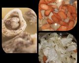 Foto langkah ke 2 dari resep 54. Sop Sumsum Tulang Sapi.