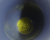 Foto del paso 4 de la receta: Porridge de pera y cacao y Té Matcha