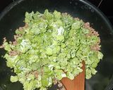 Foto langkah ke 3 dari resep Tumis Brokoli Telur Lada Hitam.