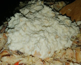 Foto del paso 5 de la receta: Chupe de jaiba
