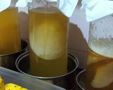Foto langkah ke 1 dari resep Kombucha Pink Tropical.