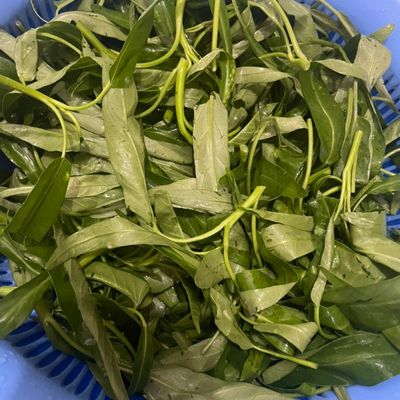Langkah 1