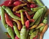 Foto langkah ke 10 dari resep Kaldu Sapi Khas Sumenep(Kacang Hijau).