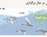 عکس مرحله 1 از دستور کیک شکلاتی کوئیک میکس