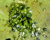 Foto langkah ke 2 dari resep Nasi Daun Jeruk Purut Ala Dapur Fitriyani.