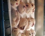 รูปขั้นตอนการทำที่ 3 ของ 2010 19.mini bite scone