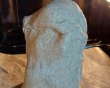 Foto del passaggio 5 della ricetta Asparagi Bianchi in Crosta di Pane Semintegrale