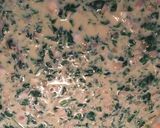 Foto del paso 12 de la receta: Quiche de Espinaca con hongos 🍄Espectacular!