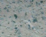 A picture of step 3 of Methi paratha.