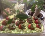 Une image de l'étape 10 de 🍭Tiramisu 🍰fraises🍓 pistaches 🍈🪺🪷.