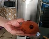 Foto del paso 15 de la receta: Berlinesas