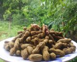 गरमागरम वाफवलेल्या भुईमुगाच्या शेंगा (boiled peanuts recipe in marathi) रेसिपी स्टेप 5 फोटो 