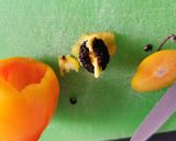 Foto del paso 1 de la receta: Salsa mexicaína