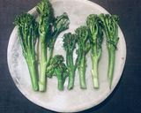 A picture of step 2 of Tenderstem broccoli trees 🌱🌳.