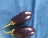 રીંગણ નો ઓળો (Ringan Oro Recipe In Gujarati) રેસીપી સ્ટેપ1ફોટો