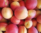 Une image de l'étape 1 de Confiture d'abricots.